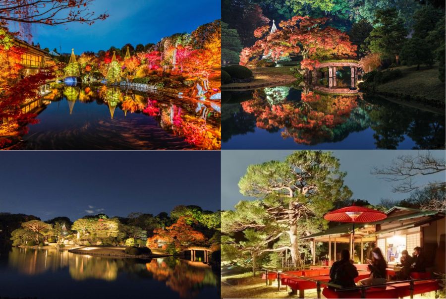 Khung cảnh Rikugien vào đêm vô cùng lung linh huyền ảo