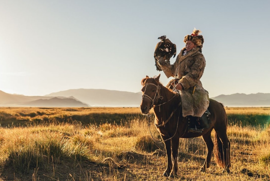 Thời điểm thích hợp để cưỡi ngựa là vào mùa hè và đầu mùa thu