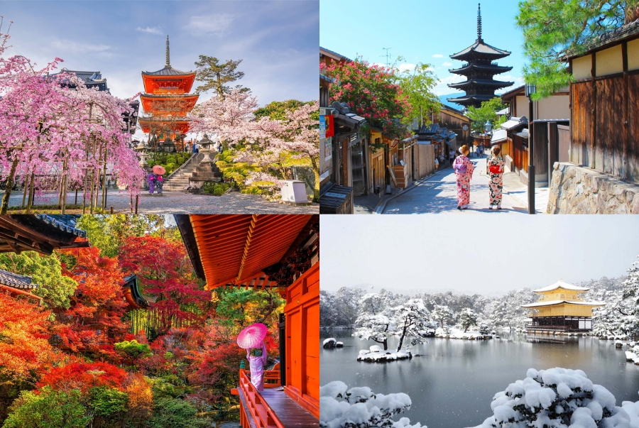 Kyoto nằm trong vùng khí hậu ôn đới với bốn mùa phân hóa rõ rệt