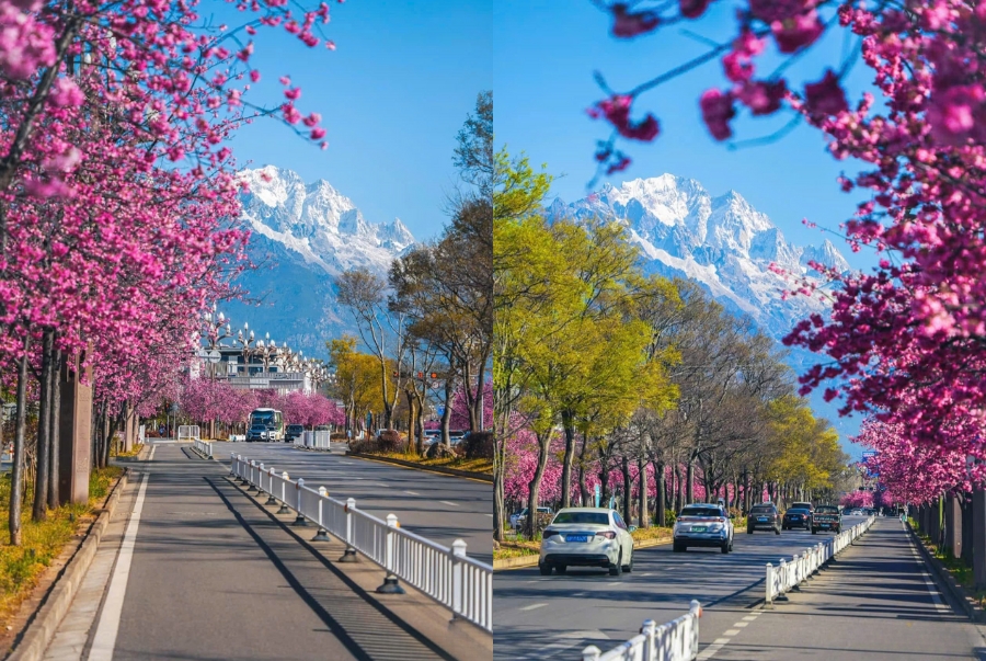 Mùa xuân với thời tiết mát mẻ và hoa nở rực rỡ