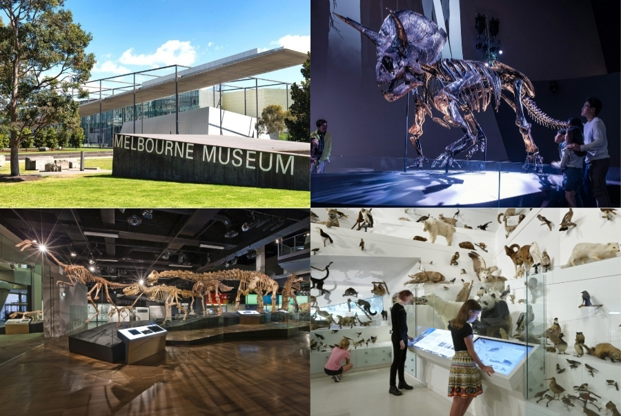 Khám phá bảo tàng lớn nhất Nam bán cầu với bộ sưu tập văn hóa và khoa học độc đáo