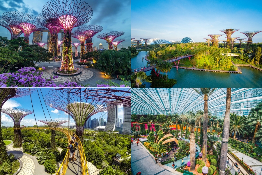 Gardens by the Bay là một khu vườn sinh thái rộng lớn với diện tích hơn 101 héc ta
