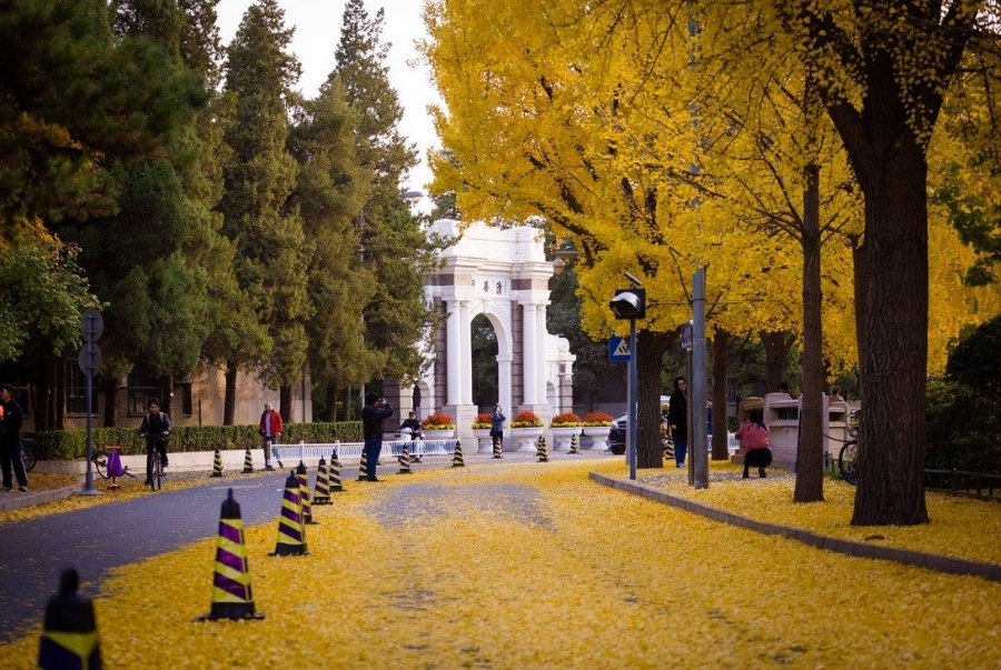 Khung cảnh nên thơ của đại học Thanh Hoa vào mùa thu