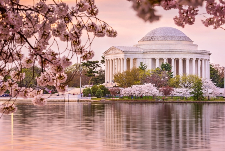 Mùa xuân cũng là một trong những mùa được nhiều du khách yêu thích