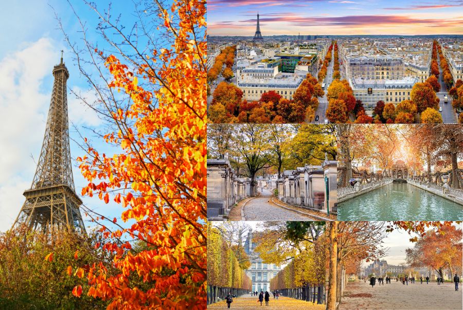 Khoảnh khắc lá đỏ phủ kín các cung đường tại Châu Âu