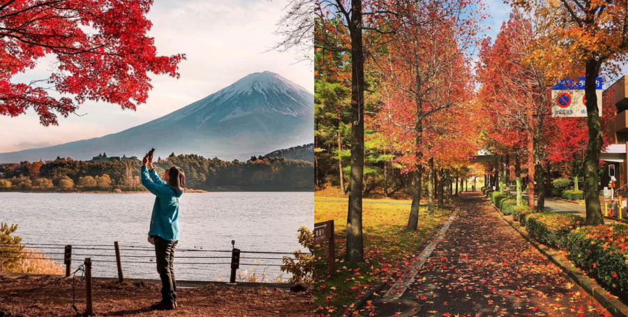 Sự thay đổi cảnh quan ngoạn mục chính là điểm đặc trưng và thu hút nhất của mùa thu Nhật Bản