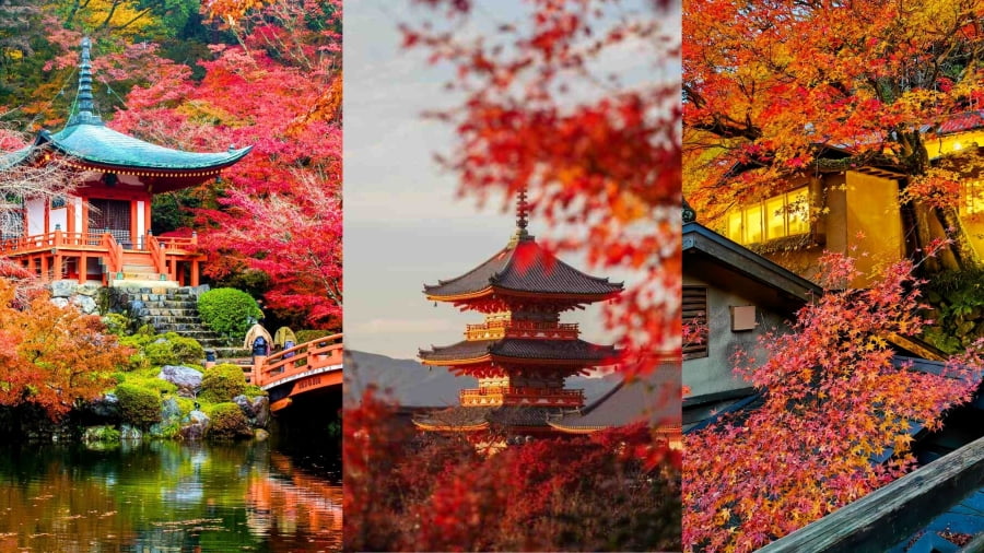 Kyoto, thủ đô cũ của Nhật Bản, luôn là điểm đến hàng đầu mỗi mùa thu về