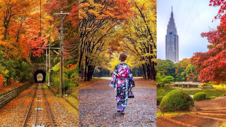 Thủ đô Tokyo không chỉ là trung tâm sôi động mà còn sở hữu nhiều không gian xanh tuyệt đẹp để ngắm lá đỏ