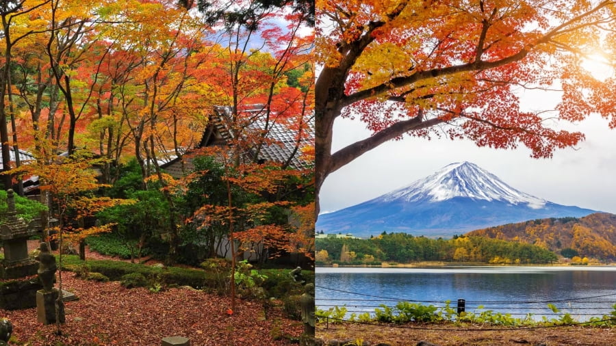 Mùa thu Nhật Bản là một trong những thời điểm đẹp nhất và được mong chờ nhất trong năm