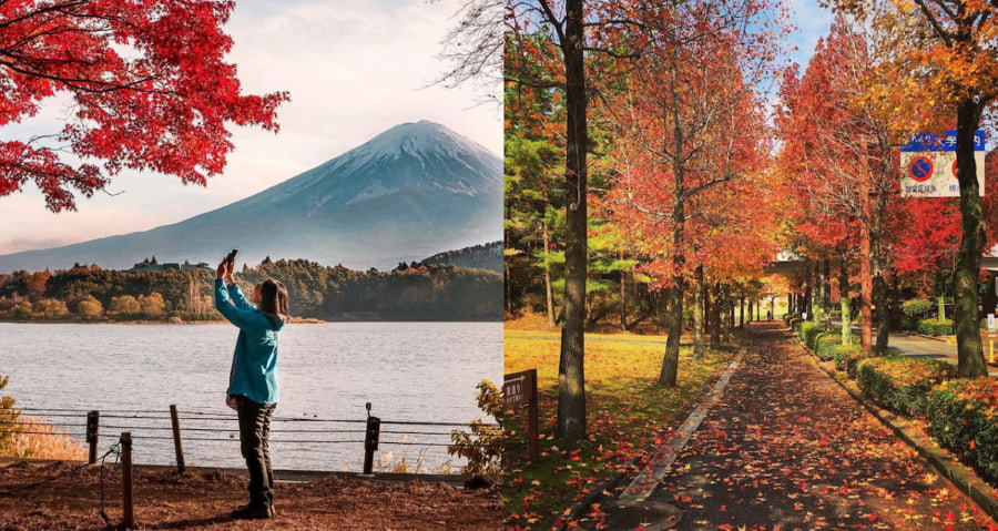 Tháng 9 là thời điểm lý tưởng để khám phá vẻ đẹp của Nhật Bản