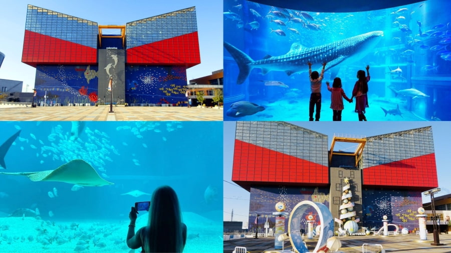 Thủy cung Kaiyukan là một trong những thủy cung lớn nhất và ấn tượng nhất thế giới