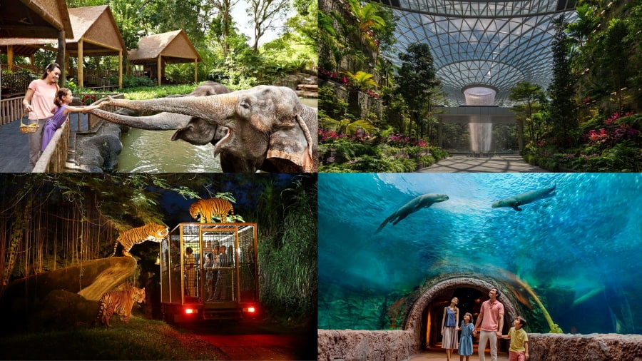 Singapore còn nhiều địa điểm tham quan thú vị khác khiến các du khách vô cùng thích thú