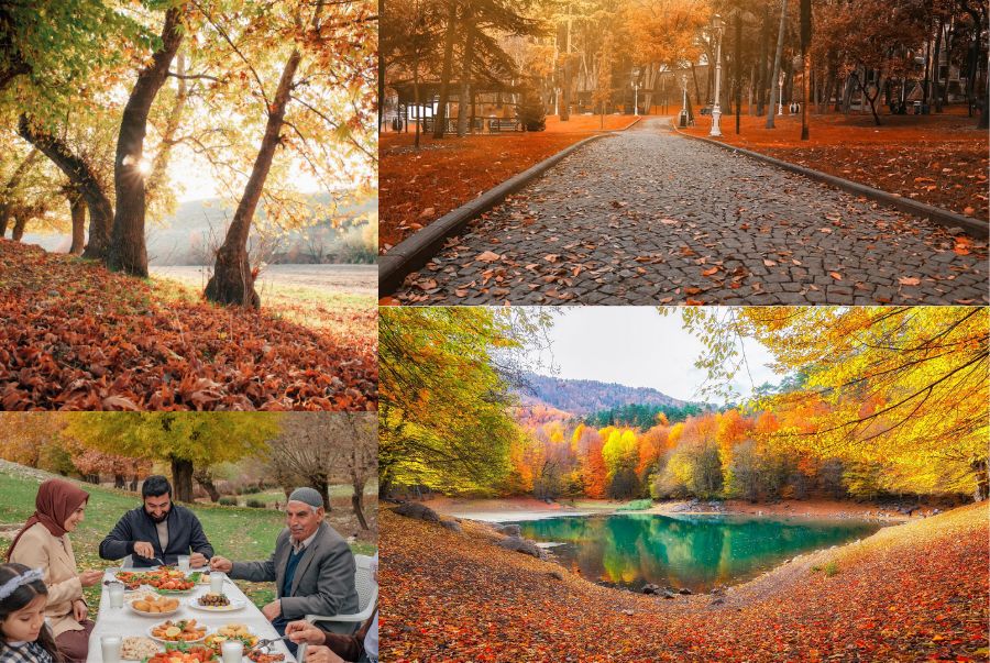 Phong cảnh lãng mạn với những hàng cây thay lá vàng đỏ tại Thổ Nhĩ Kỳ
