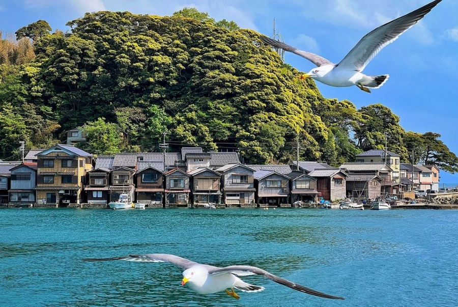 Làng chài Ine đã hình thành từ hàng trăm năm trước với kiến trúc nhà funaya