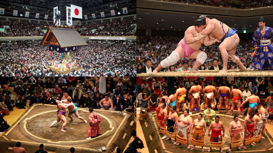 Lễ hội Đấu vật Sumo Tokyo - Cơ hội xem đấu vật Sumo Nhật Bản