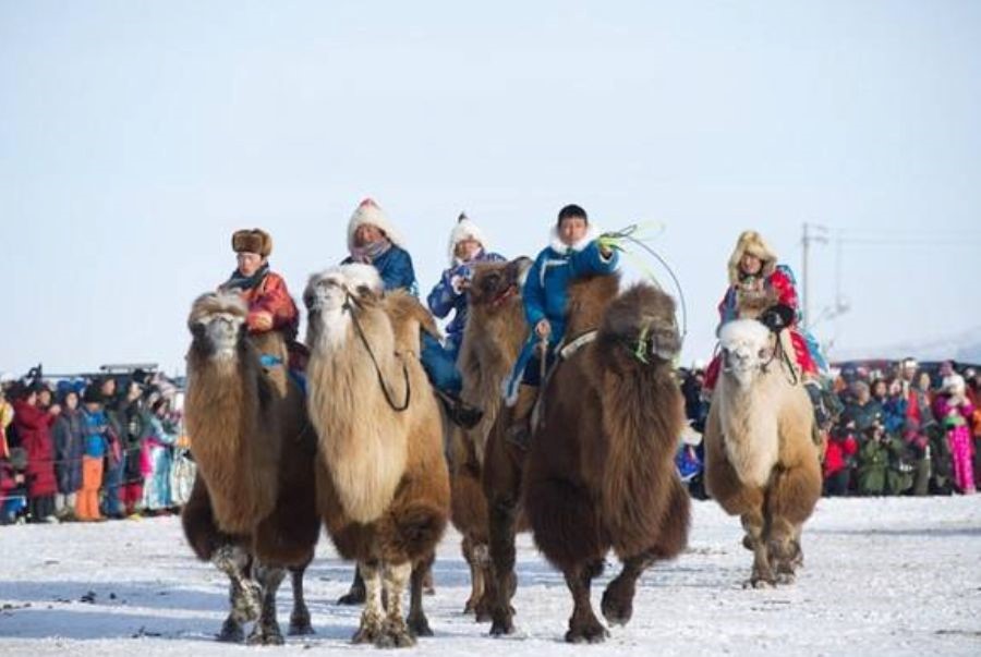 Khám phá sa mạc Gobi cùng với lễ hội Lạc đà độc đáo