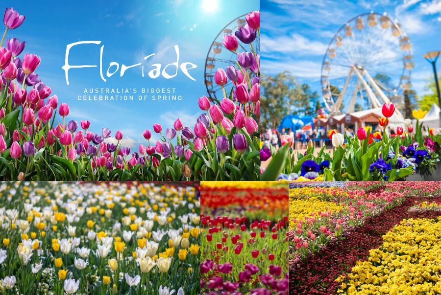 Lễ hội hoa Floriade Canberra là một trong những lễ hội hoa lớn nhất Nam bán cầu