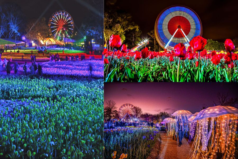 Floriade NightFest - Một sự kiện hấp dẫn trong khoảng thời gian diễn ra lễ hội