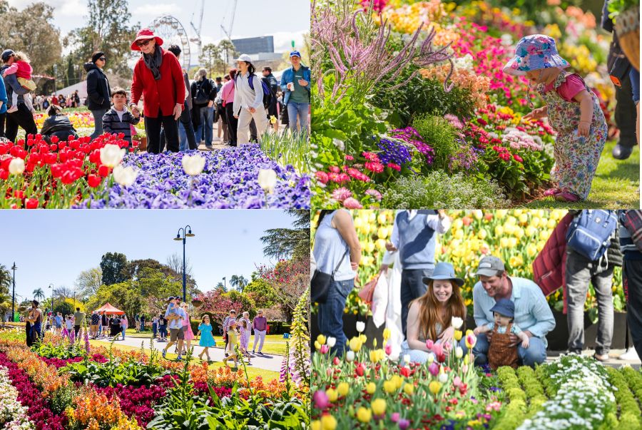 Các trải nghiệm hấp dẫn dành riêng cho khách du lịch tại lễ hội