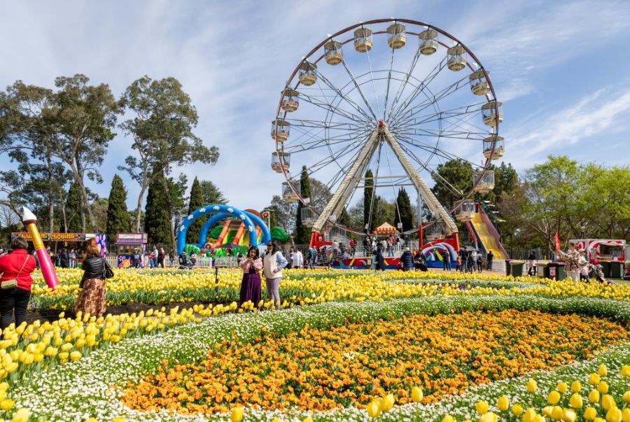 Khung cảnh rực rỡ của lễ hội hoa Floriade