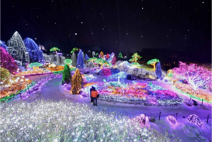 Vào mỗi mùa lễ hội ánh sáng khu vườn Morning Calm tại Gapyeong lại khoác lên mình một chiếc áo lộng lẫy sắc màu
