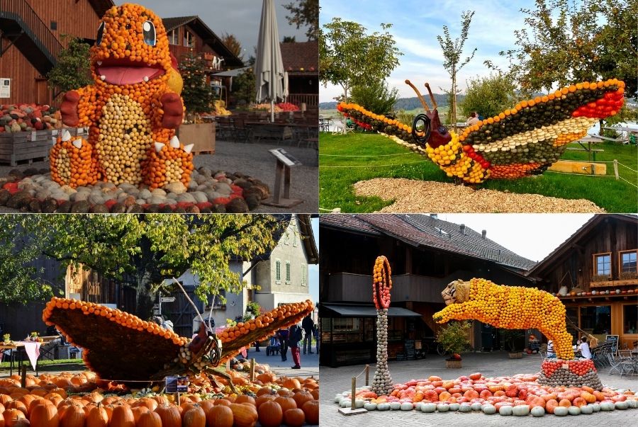 Không gian nghệ thuật rực rỡ và sáng tạo của lễ hội bí ngô Jucker Farm