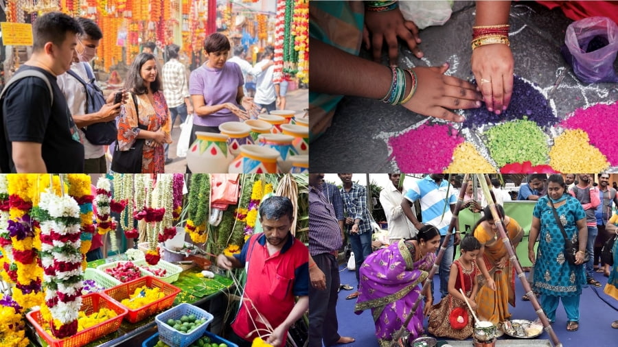 Lễ hội Pongal là một lễ hội truyền thống ở Singapore quan trọng của cộng đồng người Tamil