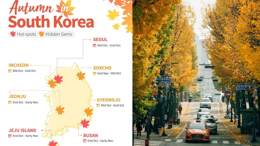 Mùa thu Hàn Quốc luôn có sức hút khó cưỡng với khung cảnh thiên nhiên chuyển mình rực rỡ