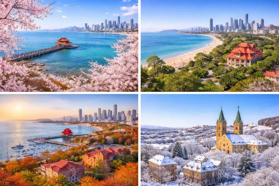 Thanh Đảo sở hữu vẻ đẹp 4 mùa với những trải nghiệm khác nhau