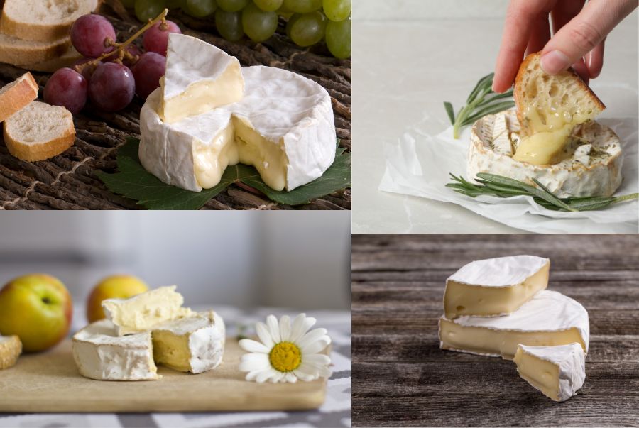 Camembert gây ấn tượng mạnh với lớp vỏ mốc trắng mịn như nhung, bao bọc phần ruột mềm tan