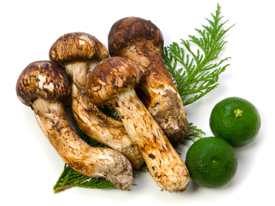 Matsutake – loại nấm quý hiếm và đắt đỏ bậc nhất thế giới