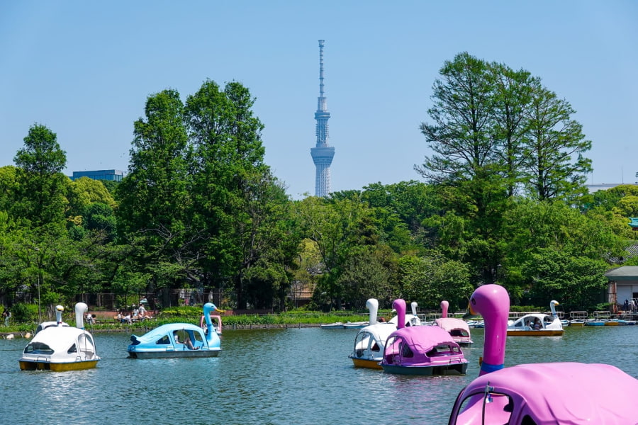 Công viên Ueno – Thiên đường xanh giữa lòng Tokyo là điểm đến lý tưởng cho mùa hè sắp tới tại Nhật Bản