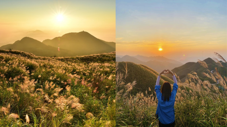 Vườn Quốc gia Yangmingshan là một điểm đến không thể bỏ qua vào mùa thu Đài Loan