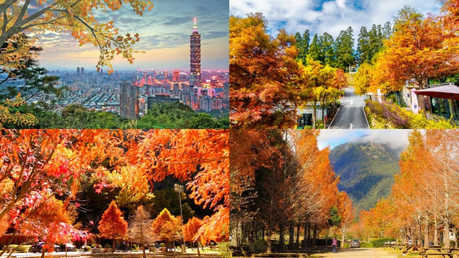 Du lịch Đài Loan mùa thu là thời điểm lý tưởng để khám phá hòn đảo xinh đẹp này