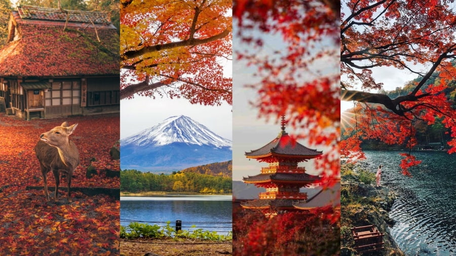 Du lịch Nhật Bản mùa thu luôn có một sức hút đặc biệt với khung cảnh lãng mạn đến nao lòng