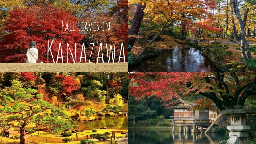 Kanazawa - Vườn Kenrokuen mùa thu đầy quyến rũ