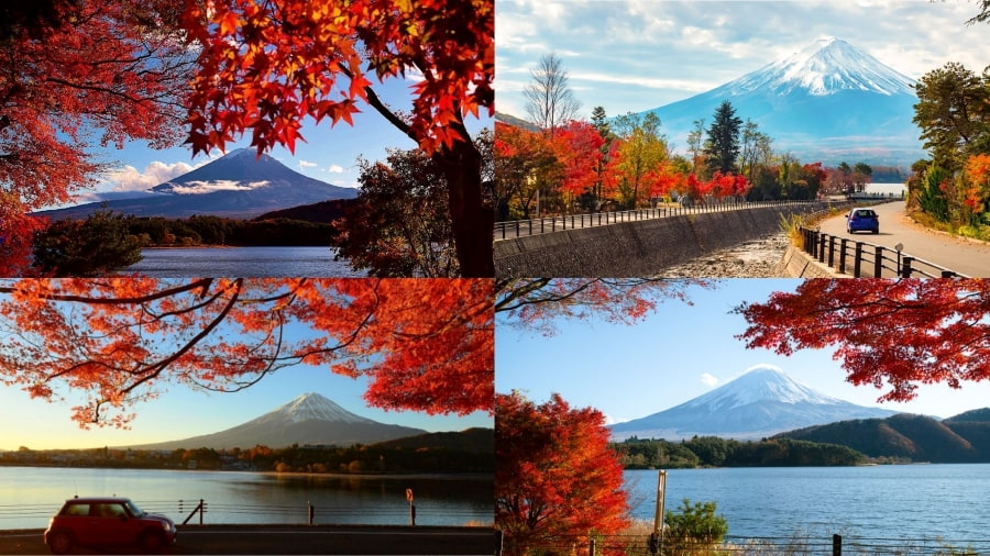 Fuji Five Lakes (Phú Sĩ Ngũ Hồ) - Lá đỏ bên Núi Phú Sĩ huyền thoại