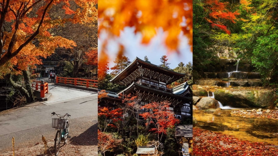 Đảo Miyajima là một địa điểm ngắm lá đỏ tại Nhật Bản vô cùng quyến rũ vào mùa thu