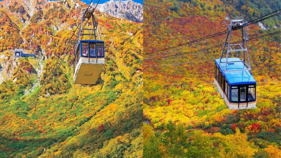 Cao Nguyên Tateyama Kurobe Alpine Route - Con đường di sản giữa đại ngàn lá đỏ