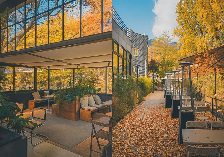 Không có gì tuyệt vời hơn việc tìm một quán cà phê ấm cúng với tầm nhìn đẹp để thư giãn và ngắm nhìn cảnh sắc mùa thu đang chuyển mình bên ngoài