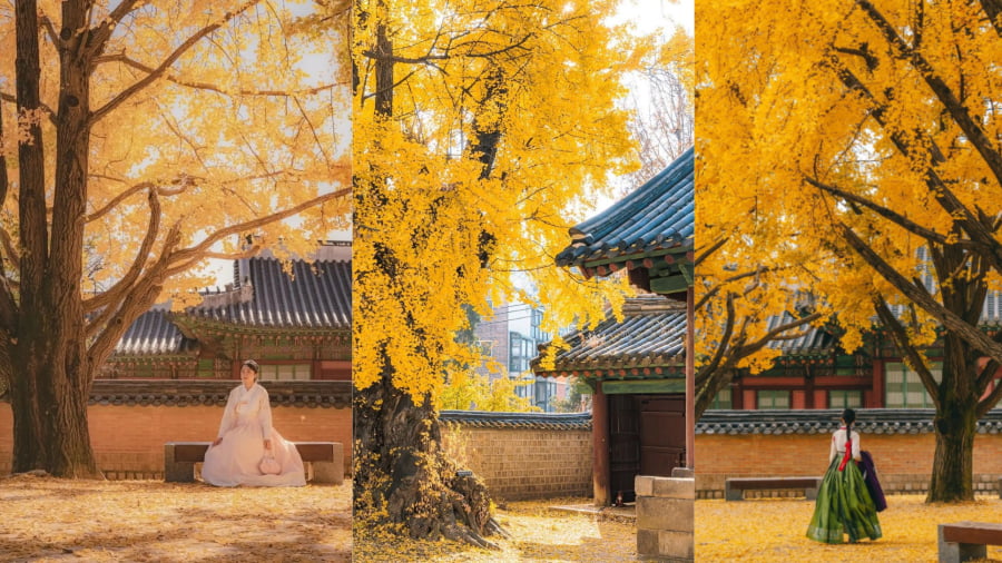 Du lịch Seoul mùa thu sẽ không trọn vẹn nếu bạn không ghé thăm các cung điện cổ kính