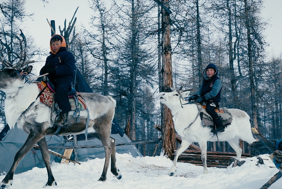 Trải nghiệm cưỡi tuần lộc xuyên rừng tuyết cùng người Tsaatan
