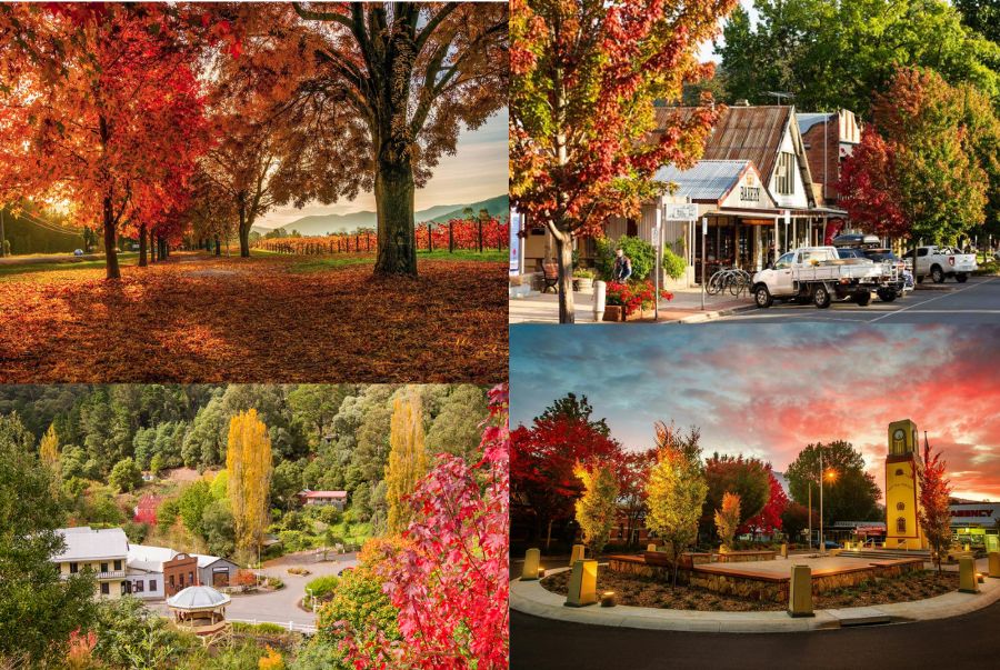 Mùa thu tại Victoria Úc có thời tiết mát mẻ, khô ráo và ít mưa