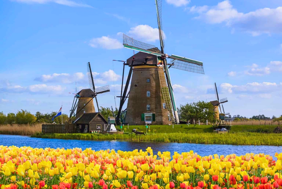 Hà Lan không chỉ nổi tiếng với hoa tulip, cối xay gió và những con kênh thơ mộng