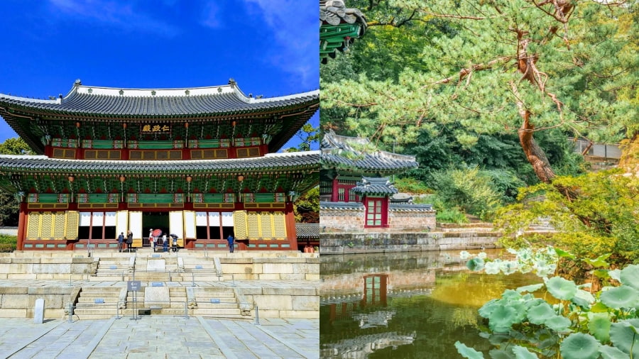 Cung điện Changdeokgung, một Di sản Thế giới được UNESCO công nhận, là một trong "Ngũ Đại Cung điện" của Seoul