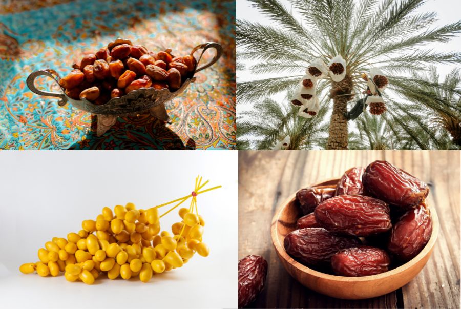  Chà là là một trong những nguyên liệu gắn liền với bản sắc văn hóa và tinh thần hiếu khách của người dân Dubai