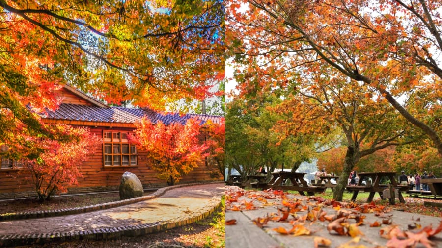 Nông trại Wuling (Wuling Farm) – Sắc thu trên cao nguyên