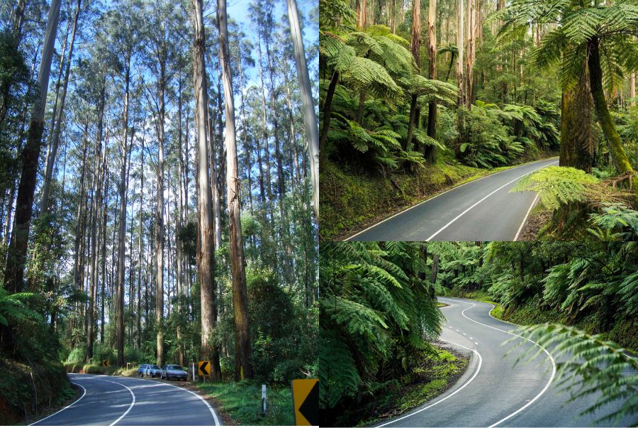 Black Spur Drive mang đến một khung cảnh rất thơ, rất bình yên