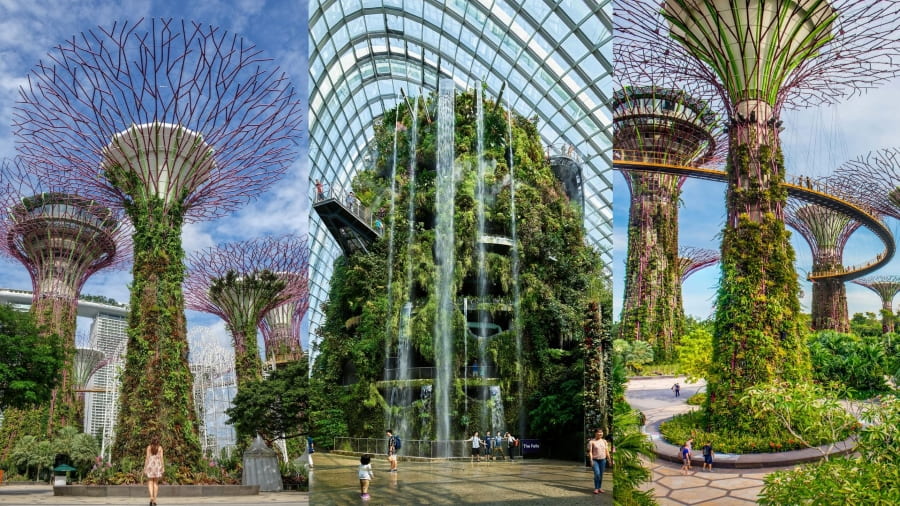 Gardens by the Bay – một kỳ quan thiên nhiên nhân tạo rộng lớn, mang đến trải nghiệm xanh mát và đầy ấn tượng