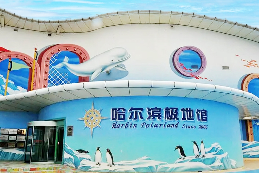 Harbin Polarland là công viên hải dương độc đáo mang đến du khách cơ hội khám phá thế giới kỳ diệu của các loài sinh vật vùng Bắc Cực